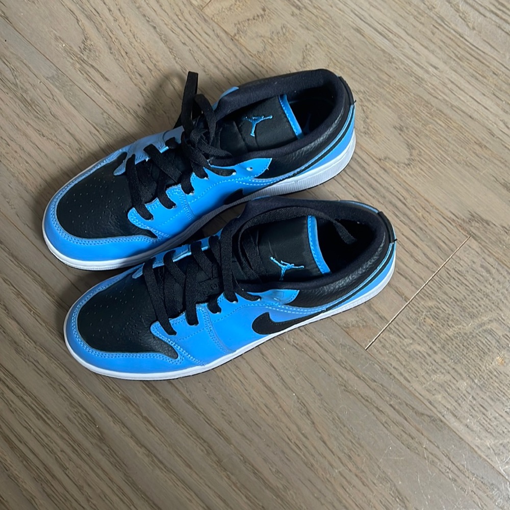 North Carolina blue Jordan Dunks